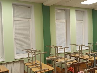 Жалюзи и рулонные шторы для школы